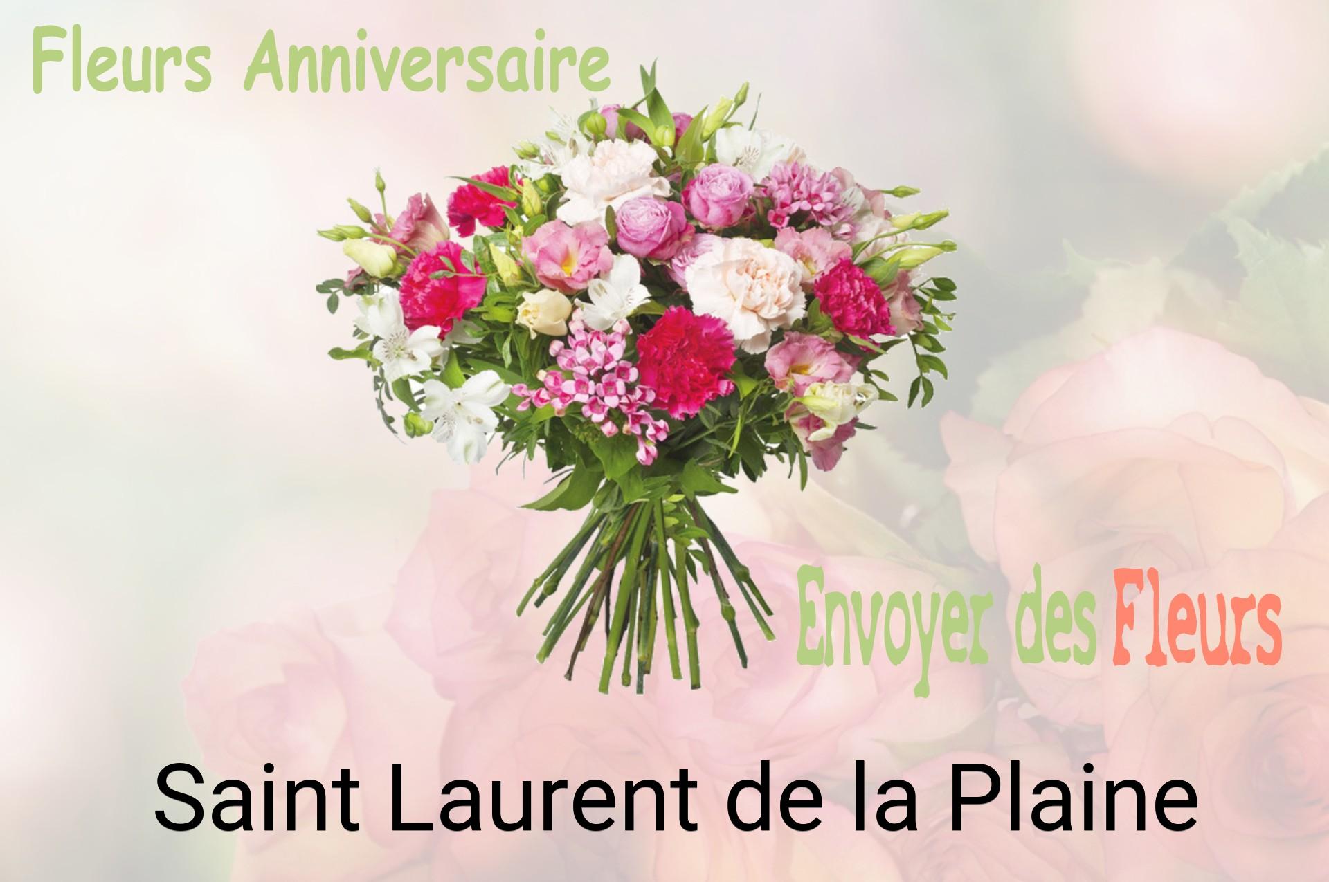 Bouquet de fleurs d’anniversaire livré à Saint-Laurent-de-la-Plaine