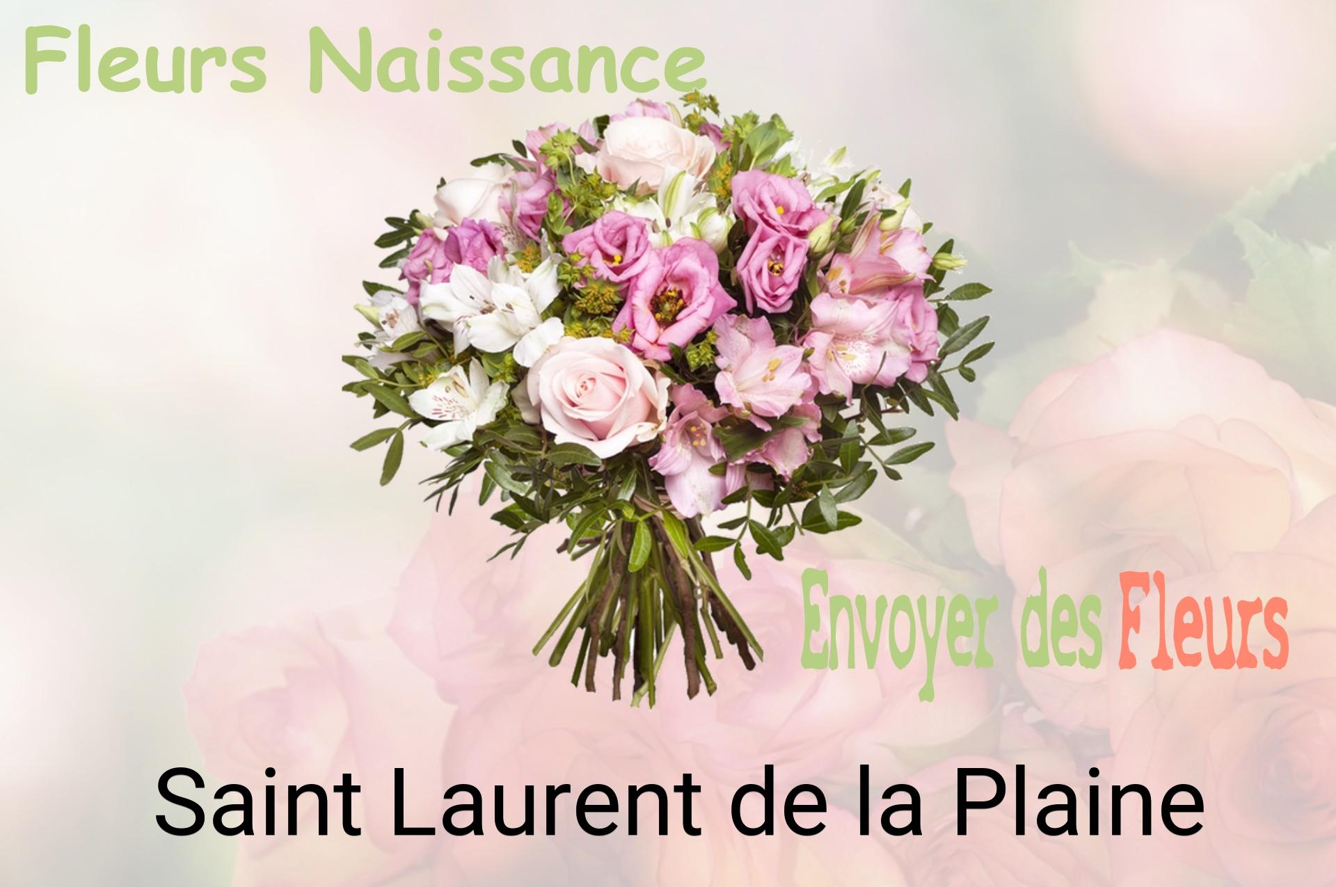 Bouquet de fleurs de naissance livré à Saint-Laurent-de-la-Plaine