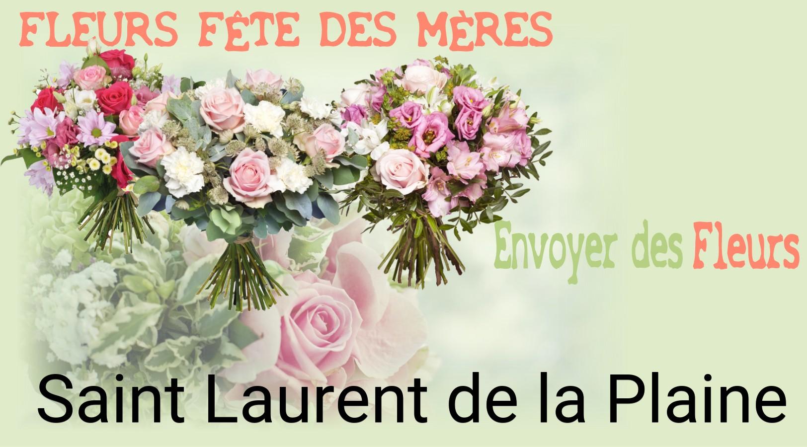 Bouquet de Fête des Mères livré à Saint-Laurent-de-la-Plaine